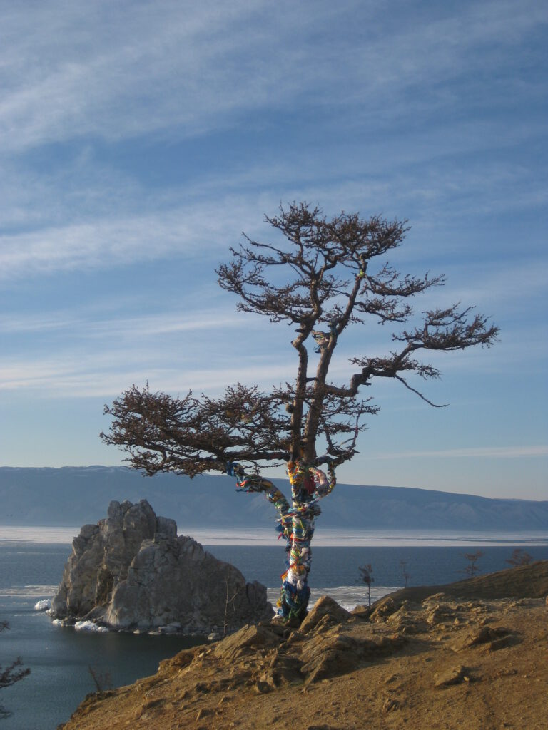Schamanenfelsen an der Küste von Olchon. Vorne ragt ein Baum mit schamanischen bunten Bändern in den Himmel. 