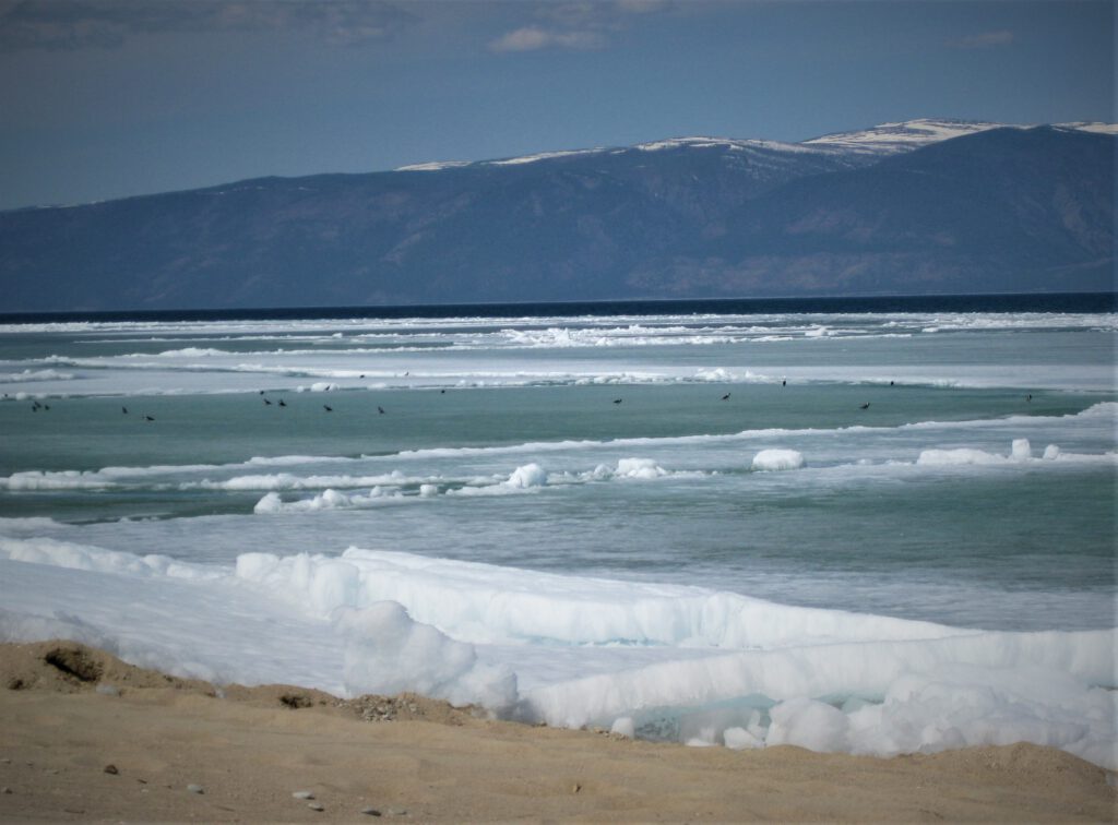 Olchon Baikalsee. Dicke Eisschollen und dünne Eisflächen am Ufer des Baikals. Vögel auf dem Eis. Berglandschaft im Hintergrund. 