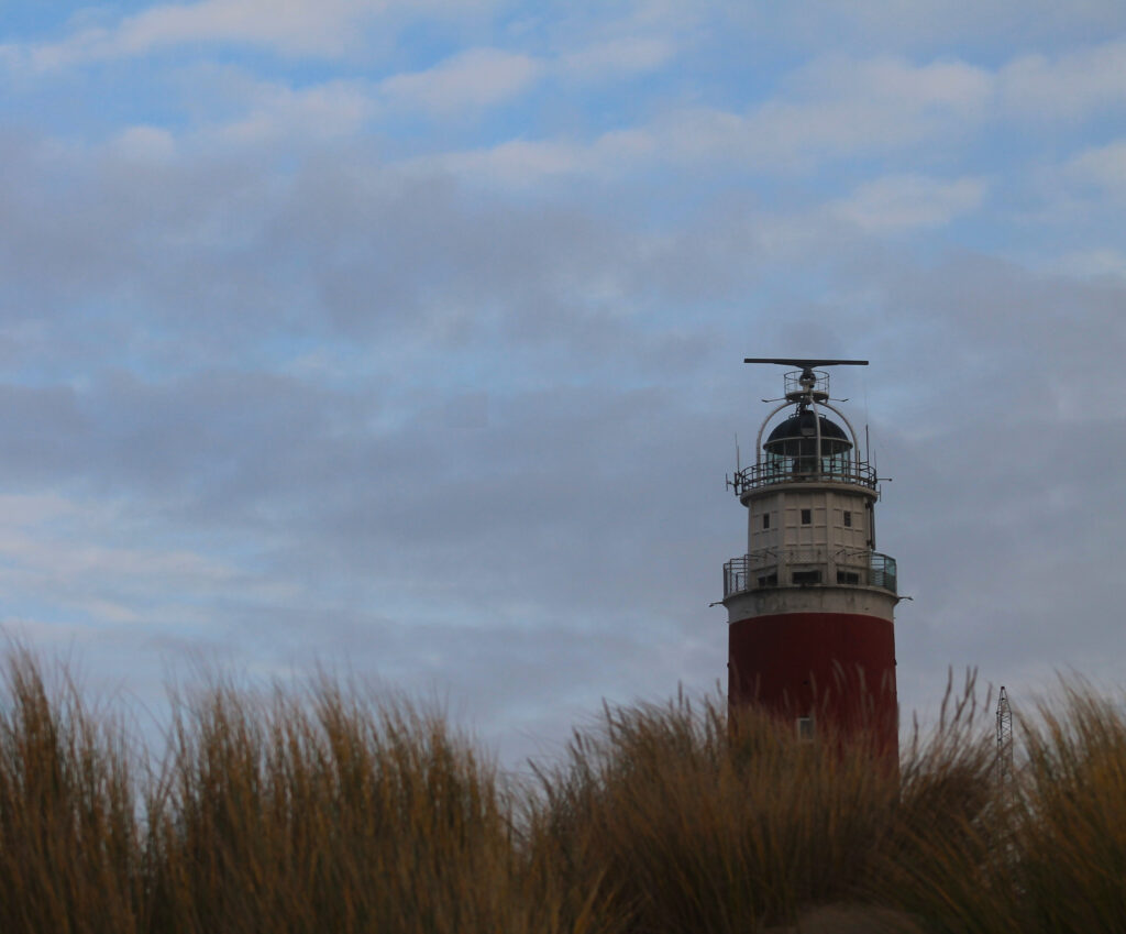 Leuchtturm von Texel: oberer Teil im Fokus hinter Dünengras