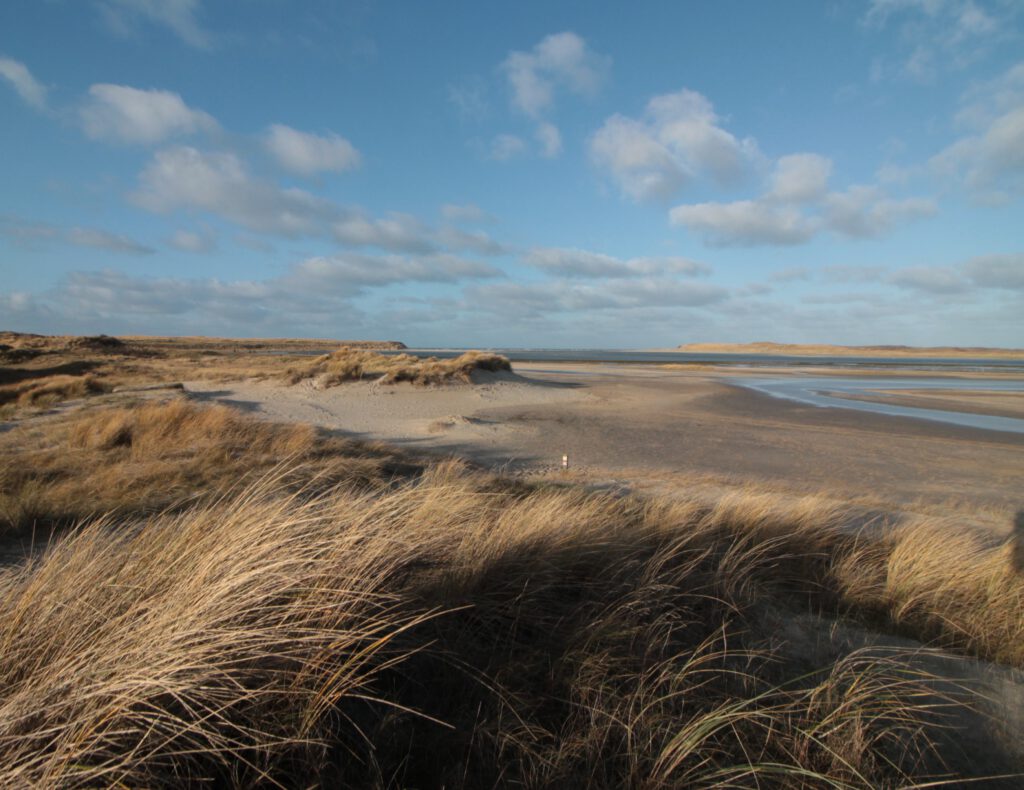 De Slufter Wanderung. Dünen und Sand neben Prielwasser. im Hintergrund die Deichöffnung zur Nordsee.
