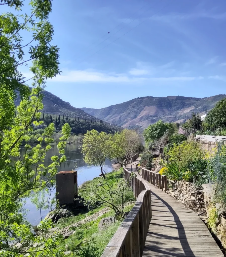 Passadiços do Tua. Holzweg mit Geländer zwischen Douro-Fluss und Gärten.