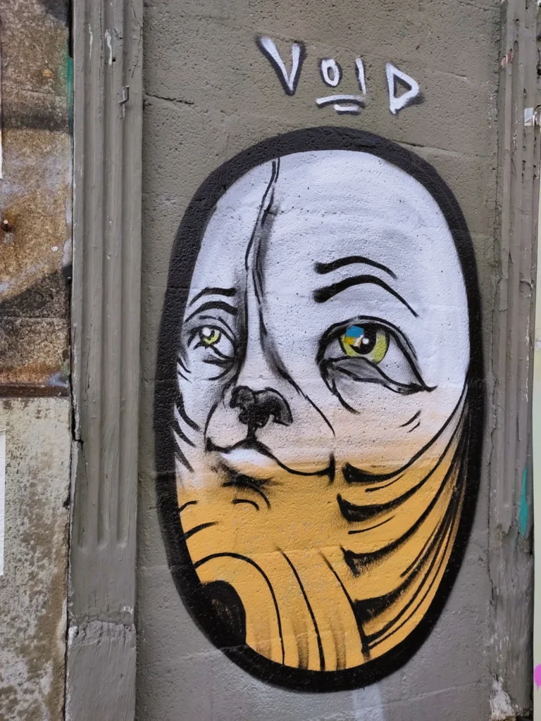 Katzengraffiti auf Mauer in Porto. Writer: Void.